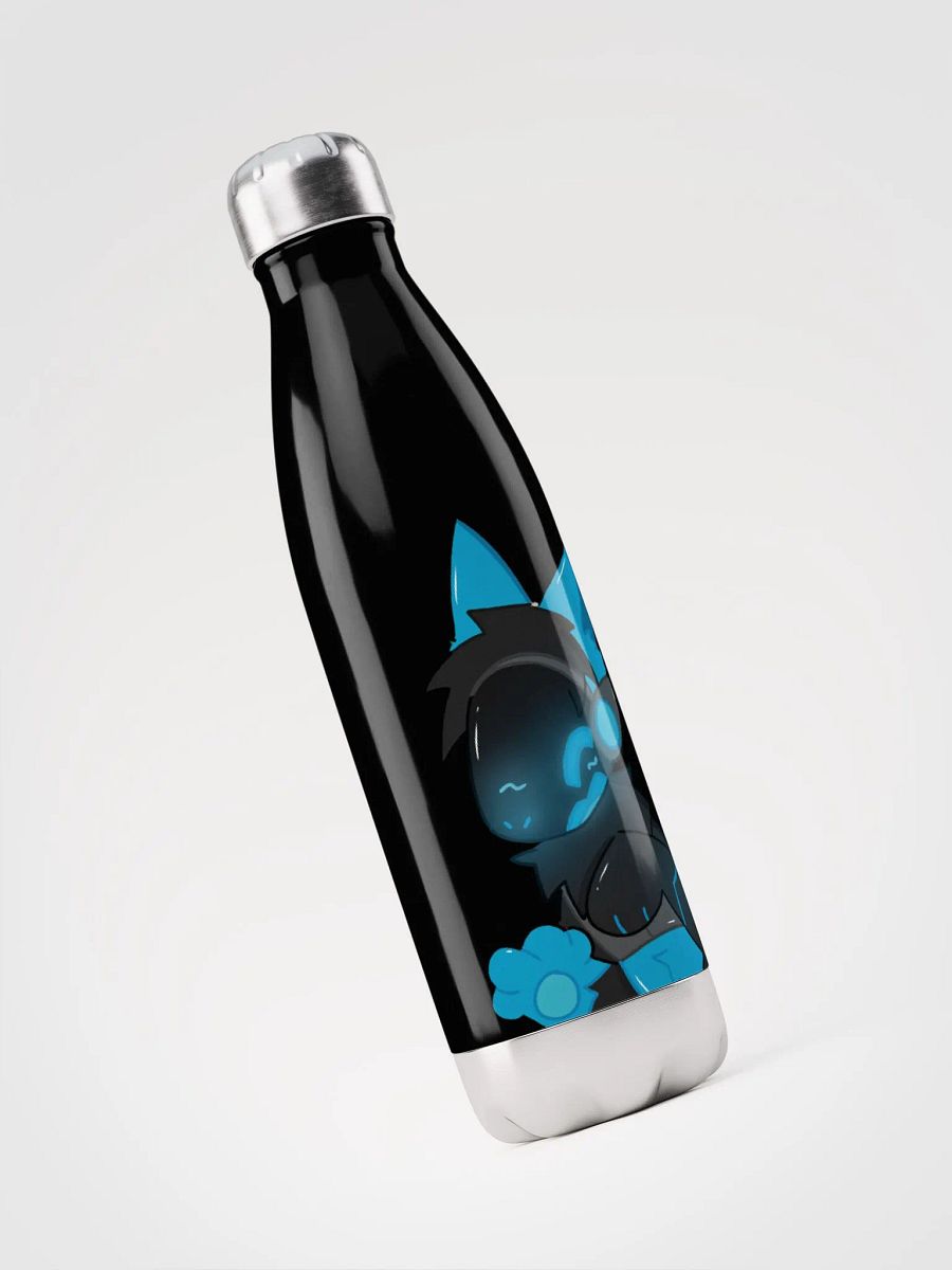 Stainless Steel Bottle product image (3)