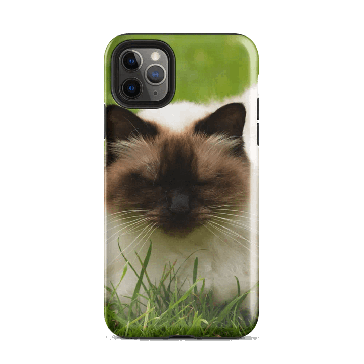 Ultimate Style and Protection: Stylish Kitty Phone Case product image (34)