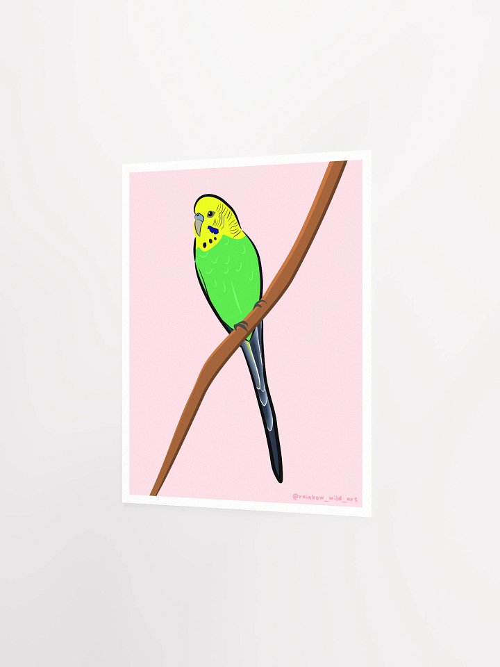 Budgie Print product image (2)