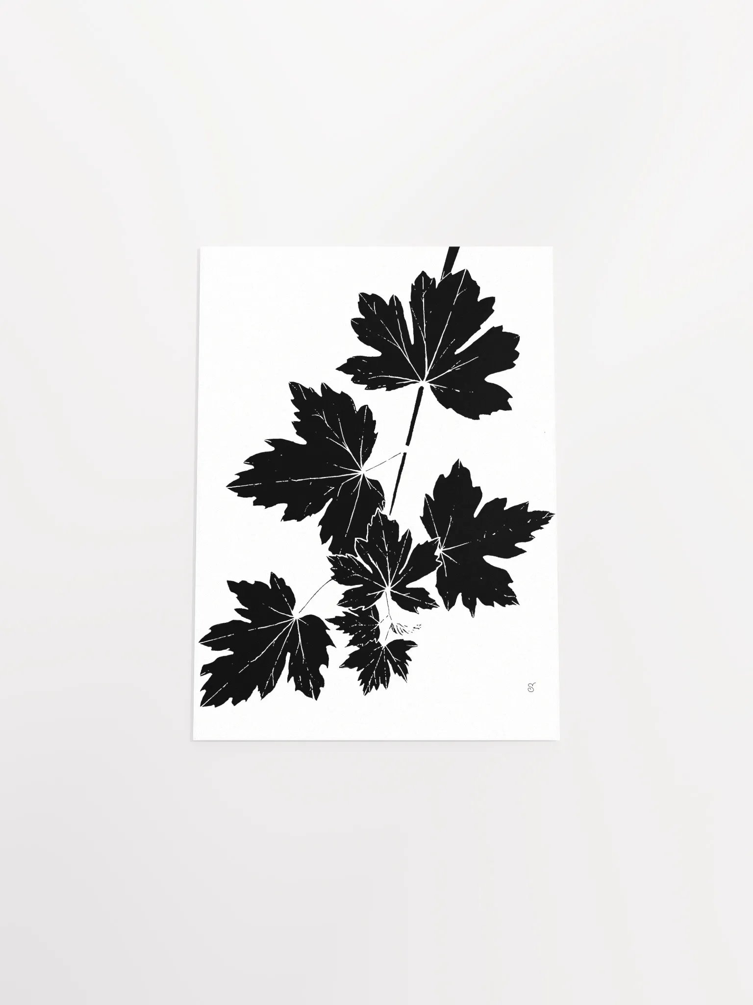 Luminous Leaf Cluster Matte Poster - Grape Leaves Light product image (4)