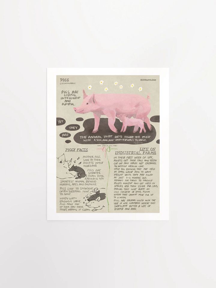 Pig Educational Print – Veganuary 2024 product image (2)