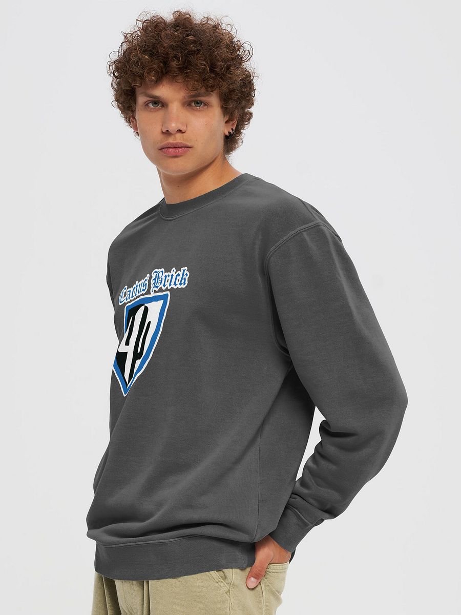 Cactus Brick (Sweaters) - Castle Shield product image (3)