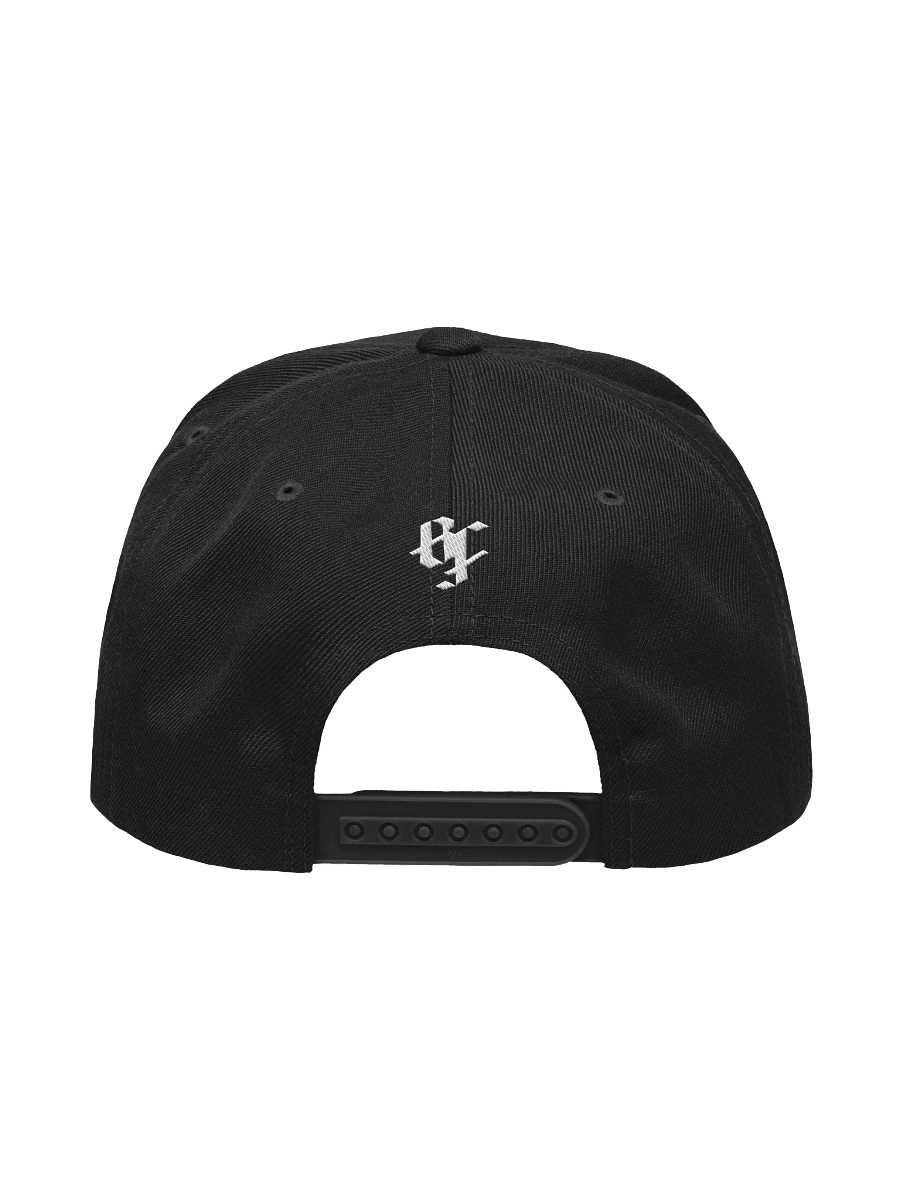 Capsmas 2024 Day 14: Reverse Houston Hit Snapback product image (4)