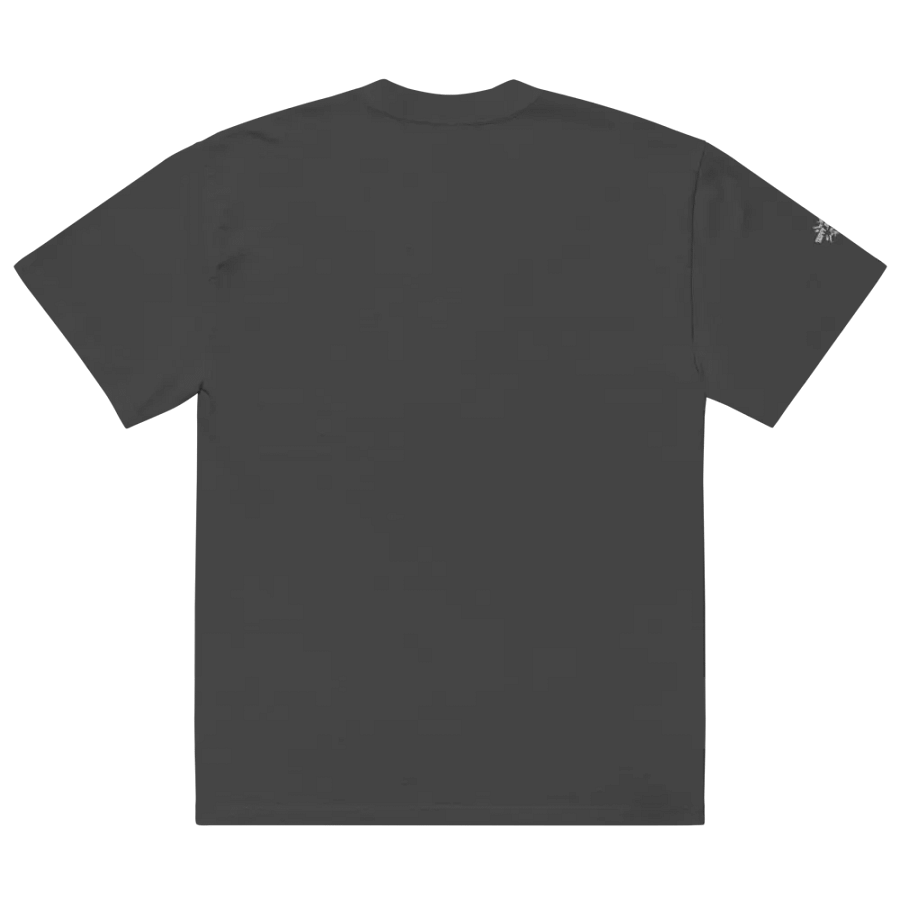 Chaos Bringer Oversized Faded T-Shirt product image (10)