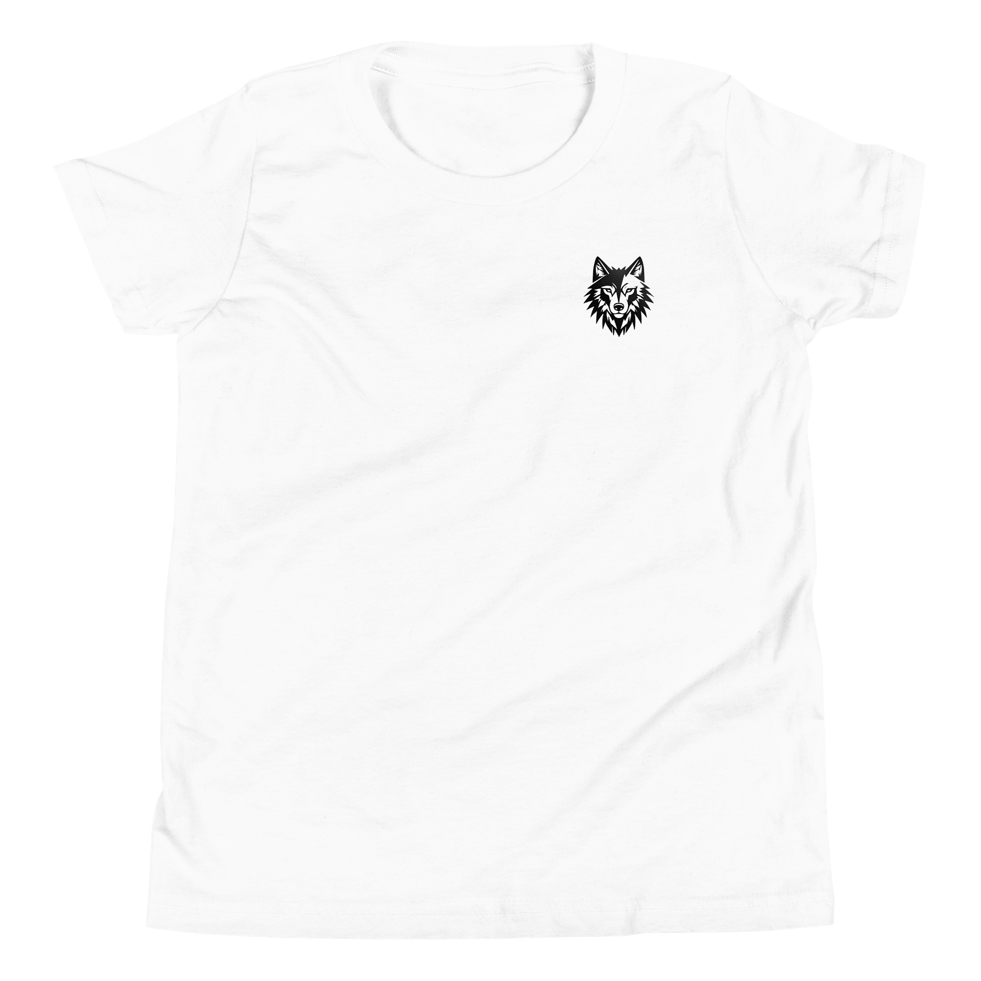 THE ZMBA BRAND LOGO Youth T-Shirt product image (1)