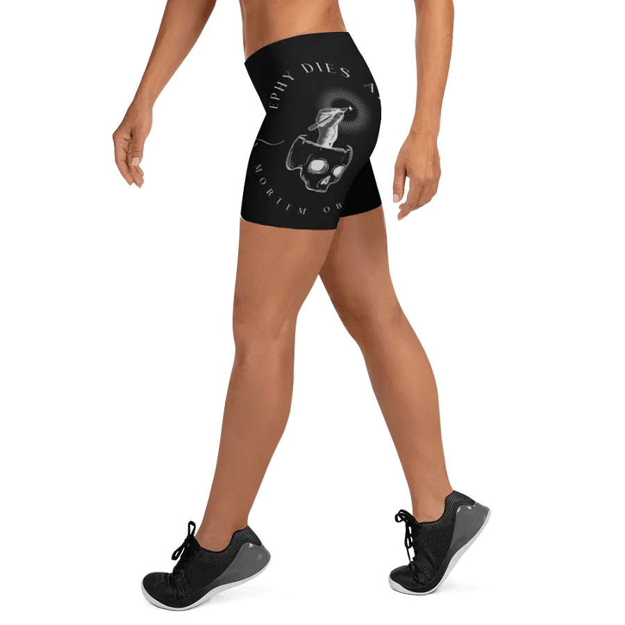 The Heritage Collection Grayscale Shorts product image (8)