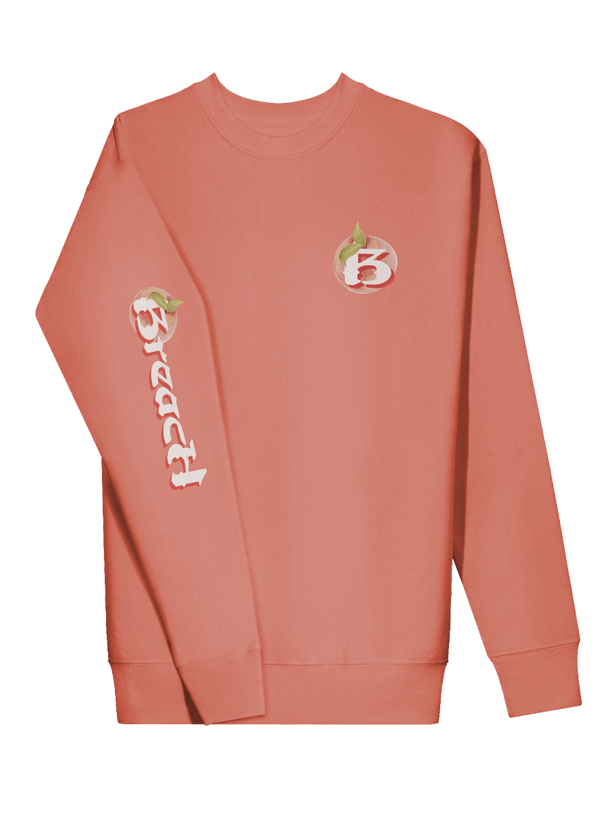 Breach Alpharetta Peach Crewneck (Peachy) product image (3)