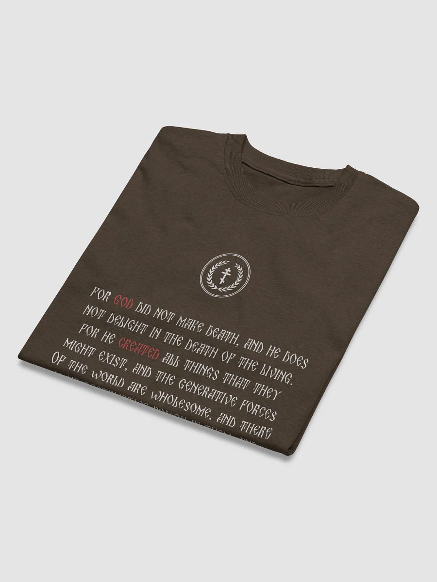 Sacred Script Heavyweight Tee product image (3)