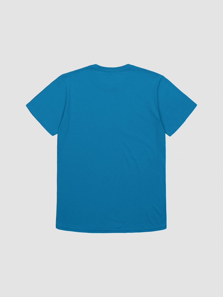 I Did Not Come to Abolish the Torah T-Shirt product image (24)
