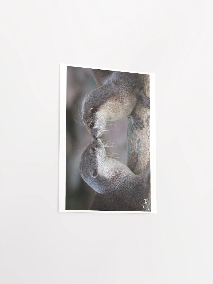 Otters Kiss - Print product image (3)