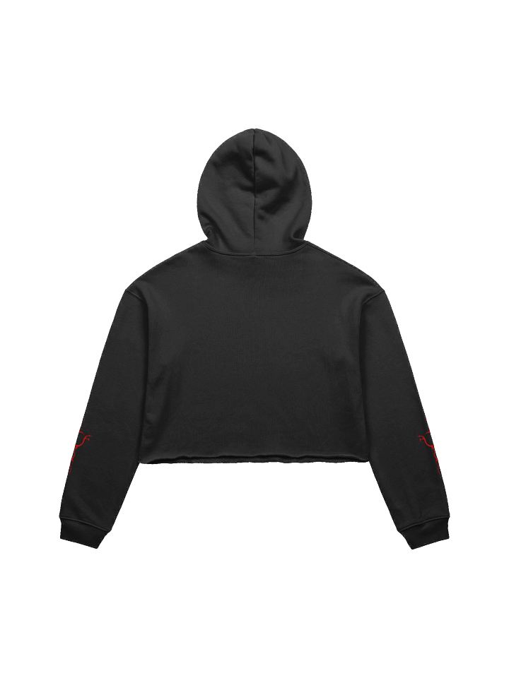 Inferno Heart Cropped Hoodie product image (2)