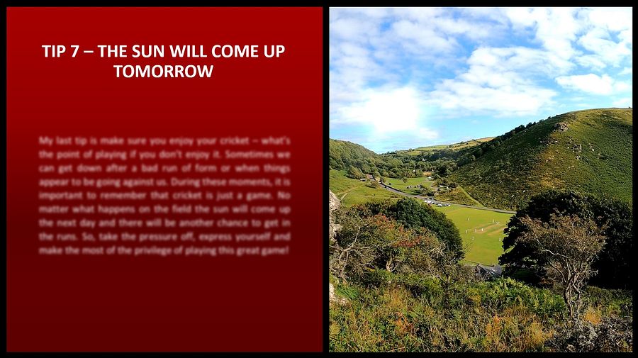 CAN YOU CRICKET TOP TIPS product image (6)