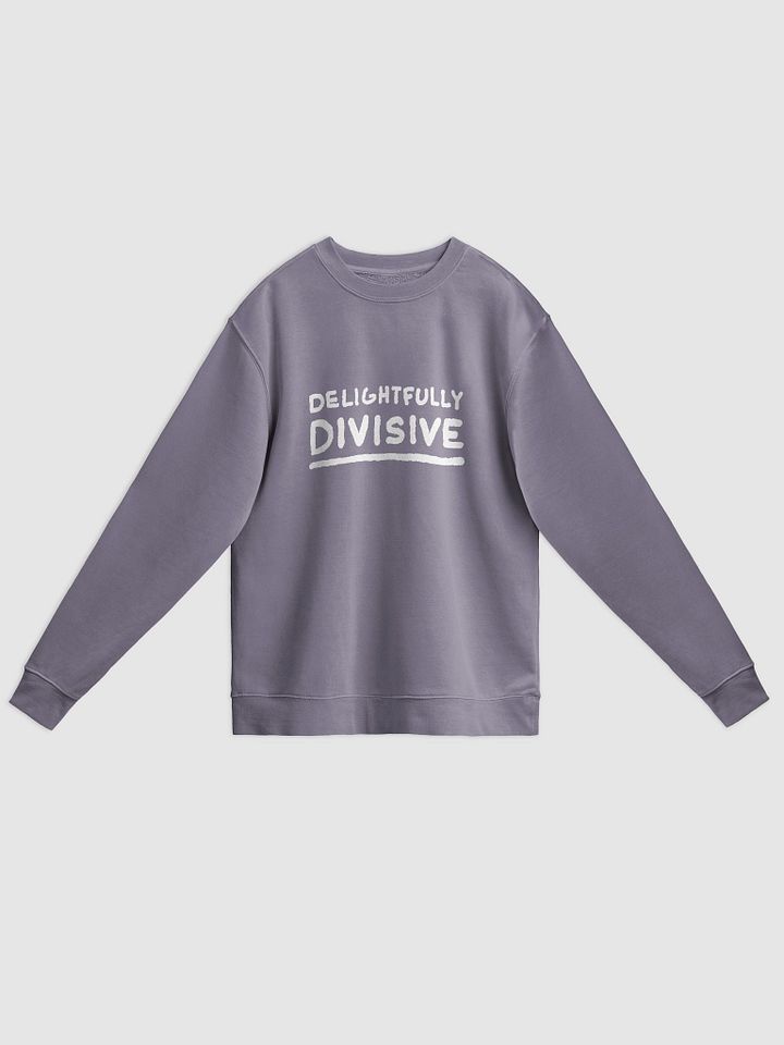 DELIGHTFULLY DIVISIVE (lg. white design) printed pigment crewneck product image (19)