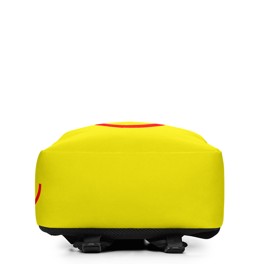 Partygoer Backpack product image (4)
