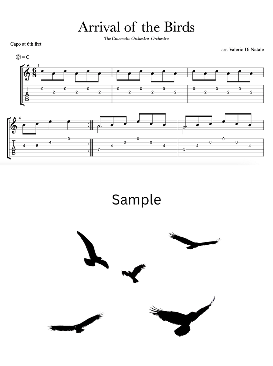Arrival of the birds - Guitar score product image (2)