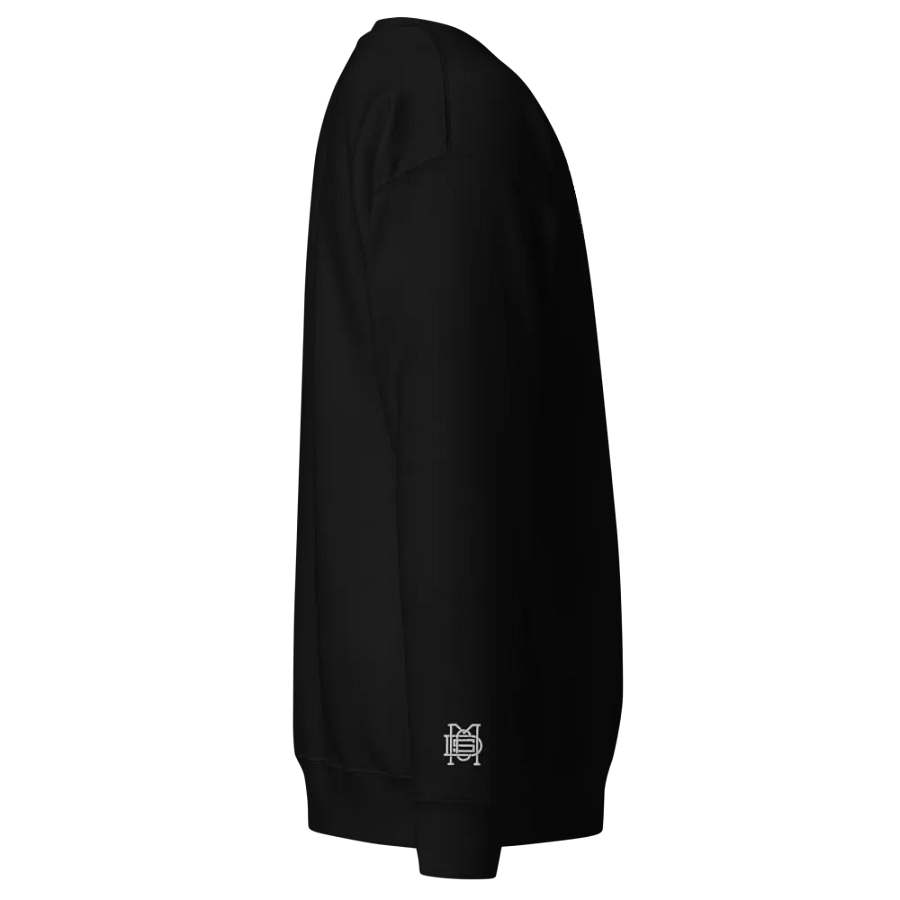 CSDM Logo Sweater product image (3)