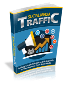 Social Media Traffic product image (1)