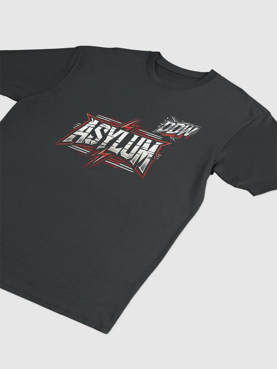 DDW ASYLUM HEAVY T-SHIRT product image (2)