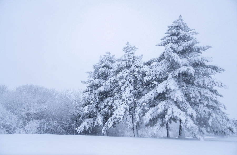 Snow Place Like Home product image (1)