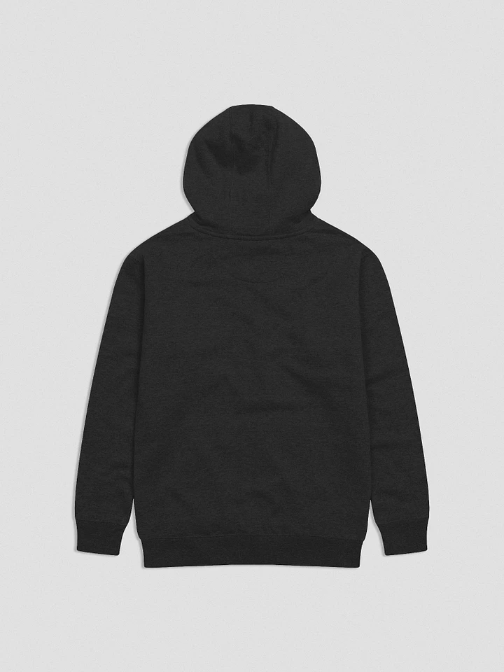 Aly Way Stray Hoodie product image (15)