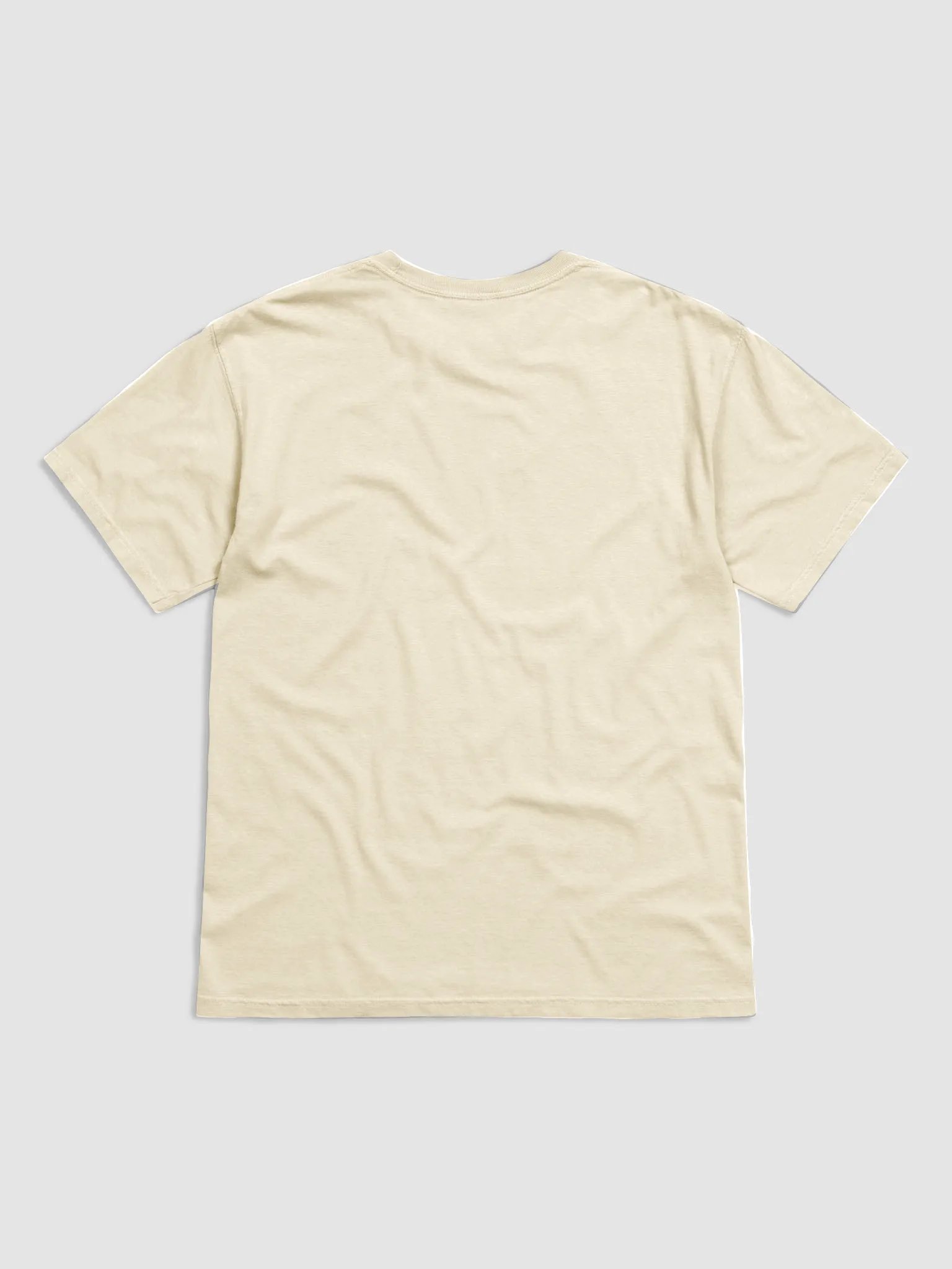 By Popular Demand I Must Rest T-Shirt product image (10)