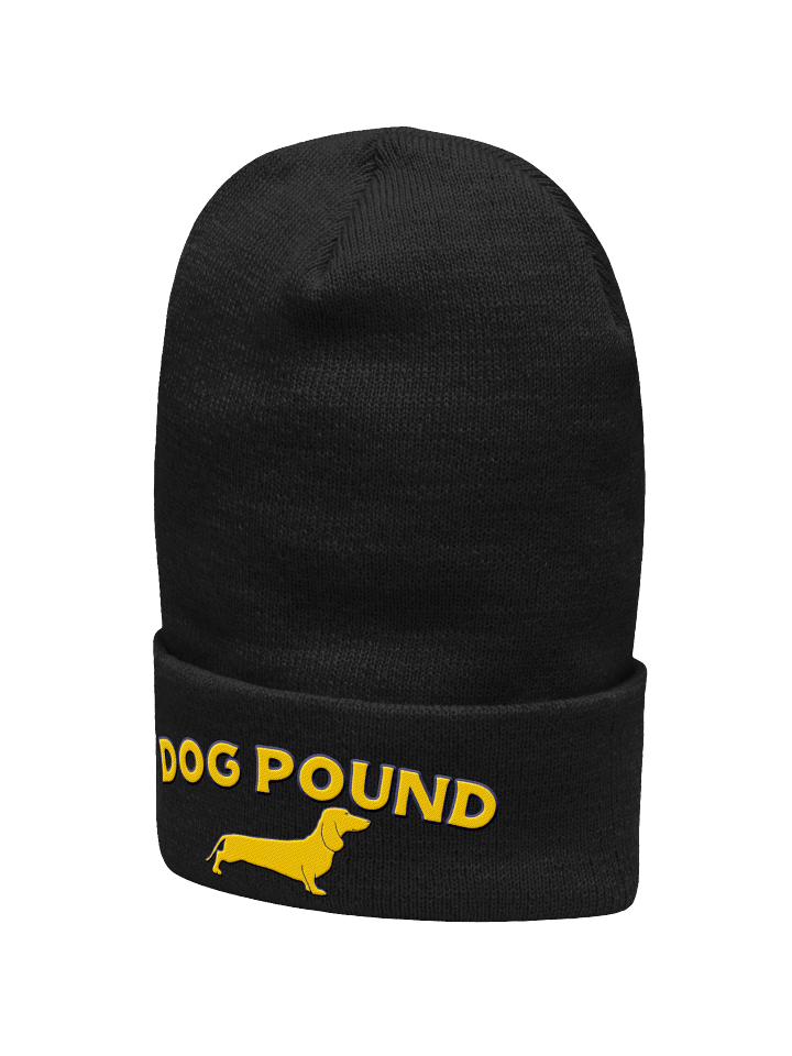 DP INDUSTRIES BEANIE product image (3)