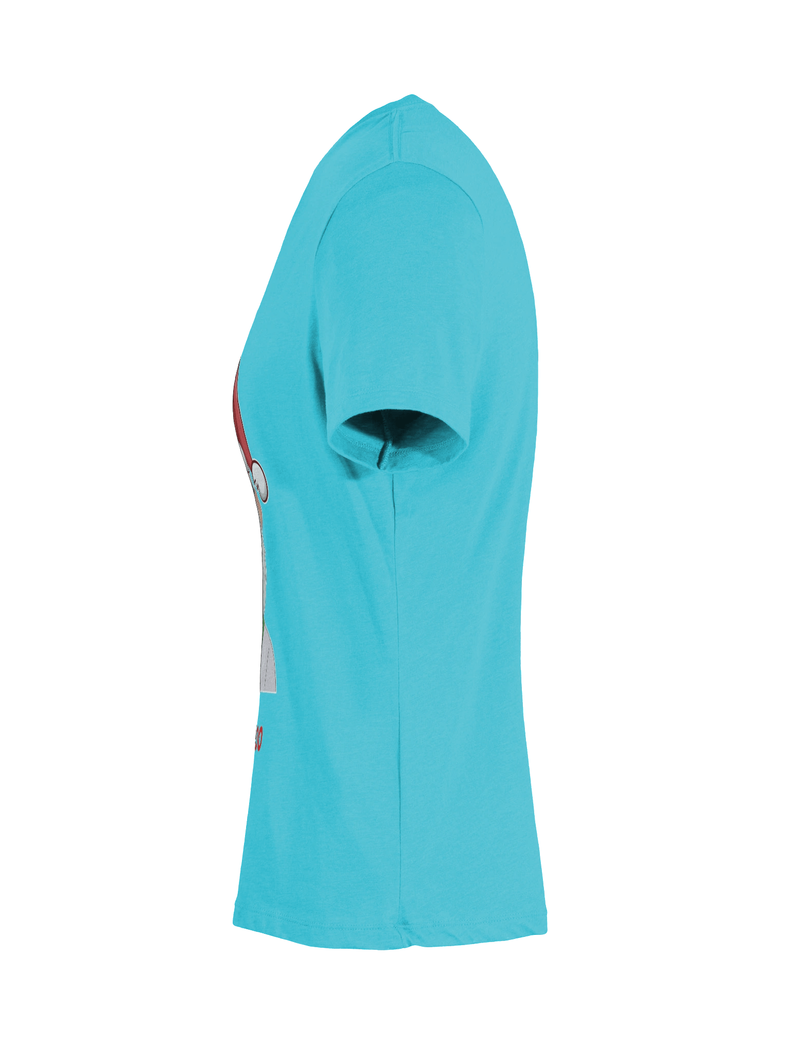 Women's Santa Boo Boo V Neck Tee Shirt product image (54)