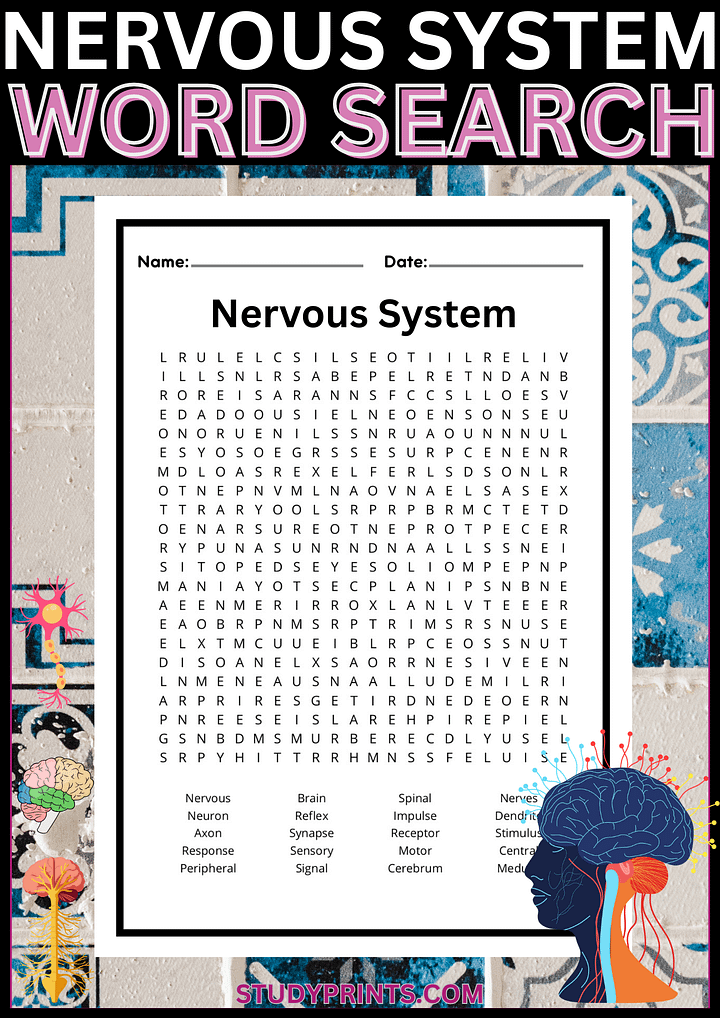 Nervous System Word Search Puzzle Printable product image (1)