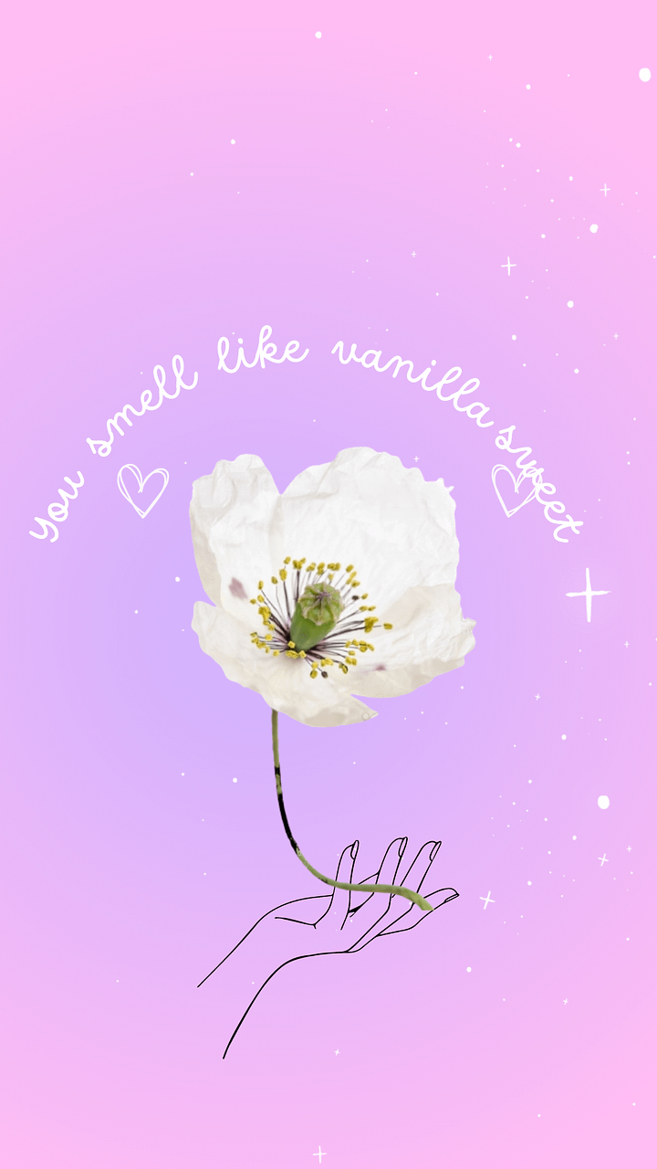 Vanila Poppies Phone wallpaper product image (1)