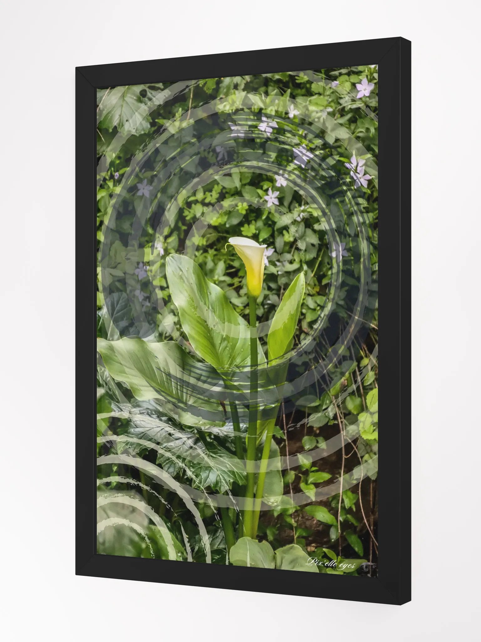 GeoGraphik Art Print – Rayol Canadel – White Arum product image (4)