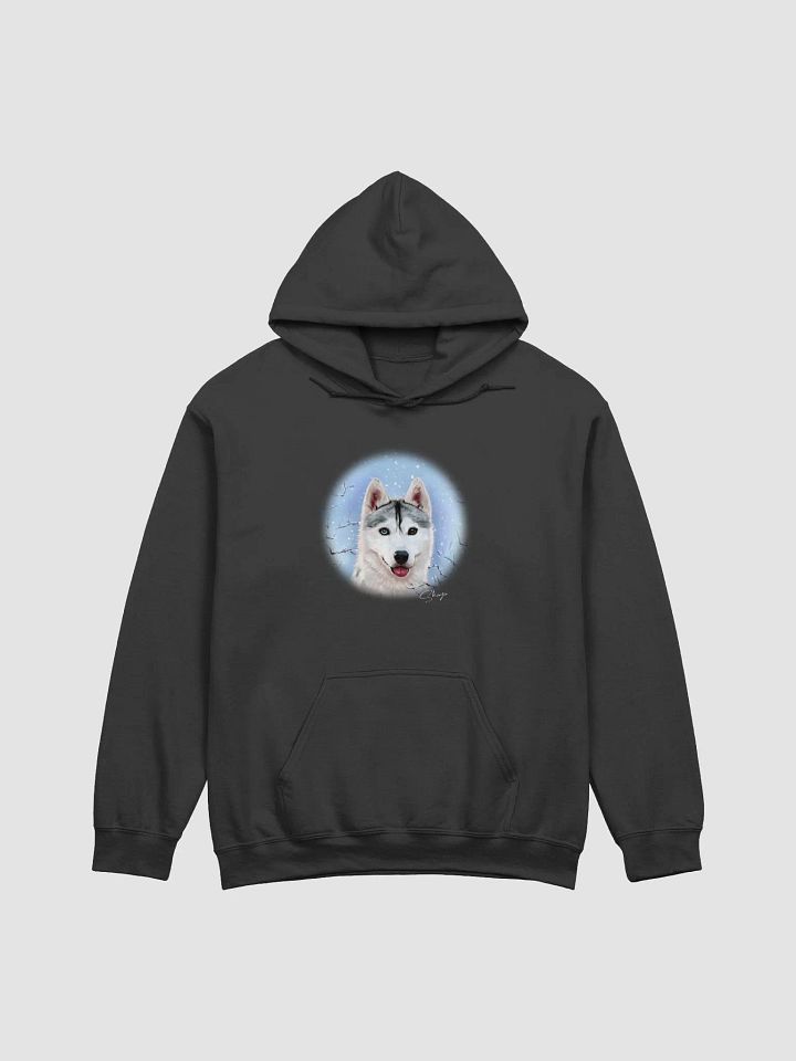 Skaya Winter Hoodie (Dark) product image (1)