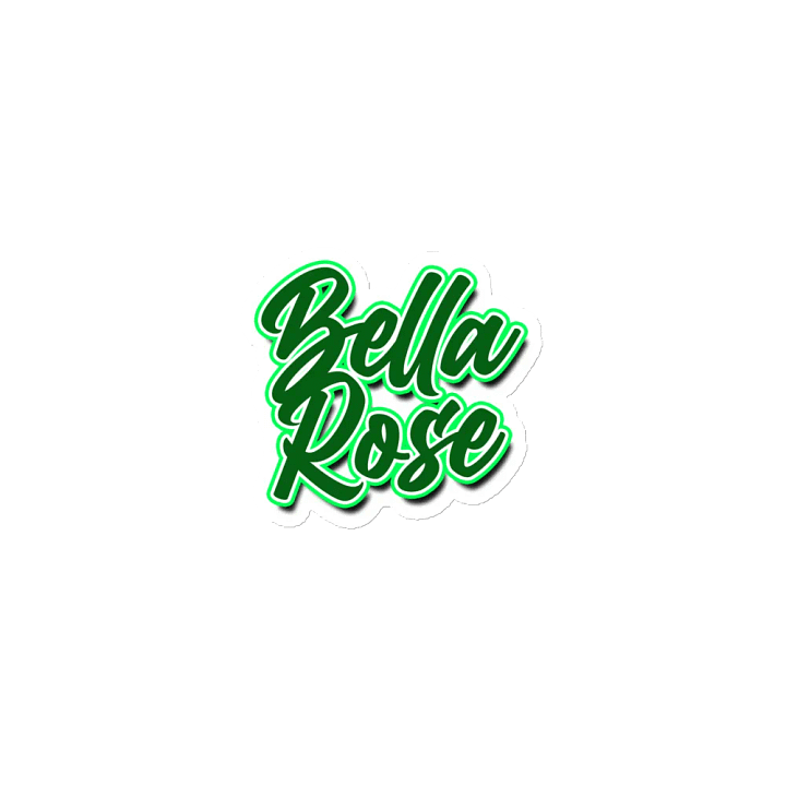 BellaRose St. Patty's Magnets product image (1)