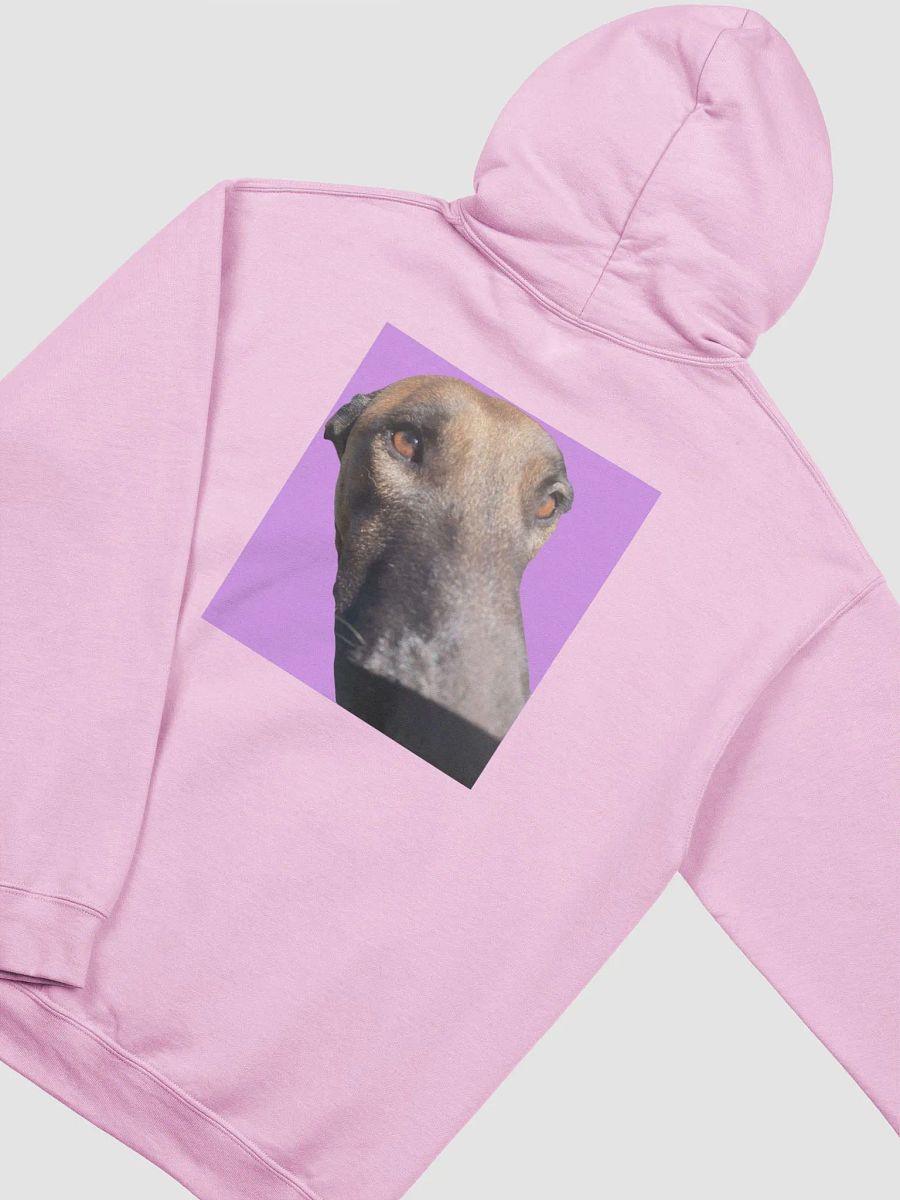 Playful MalinoisTina Hoodie product image (3)