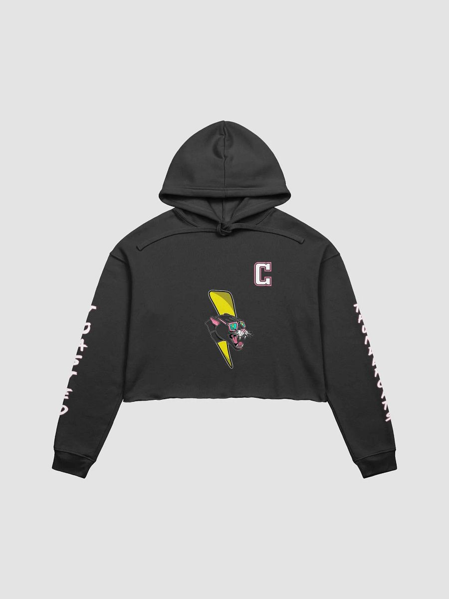 Toasted Thundercats Crop Hoodie product image (5)