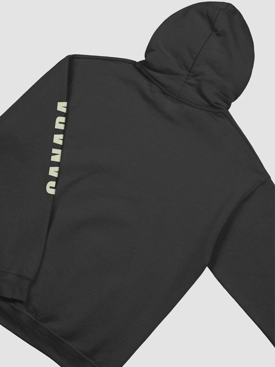 Frisian Canadian - Hoodie product image (14)
