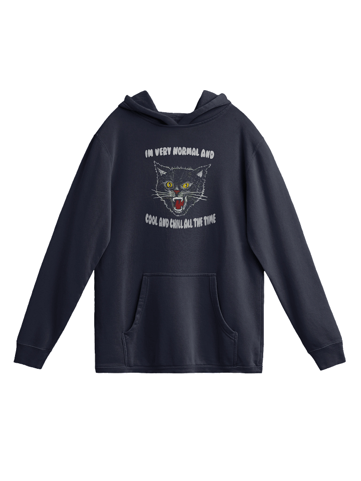 Very Normal - Hoodie product image (1)