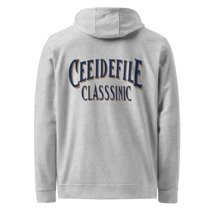 Classsic Blue & Gold 3D Text Fleece Hoodie product image (2)