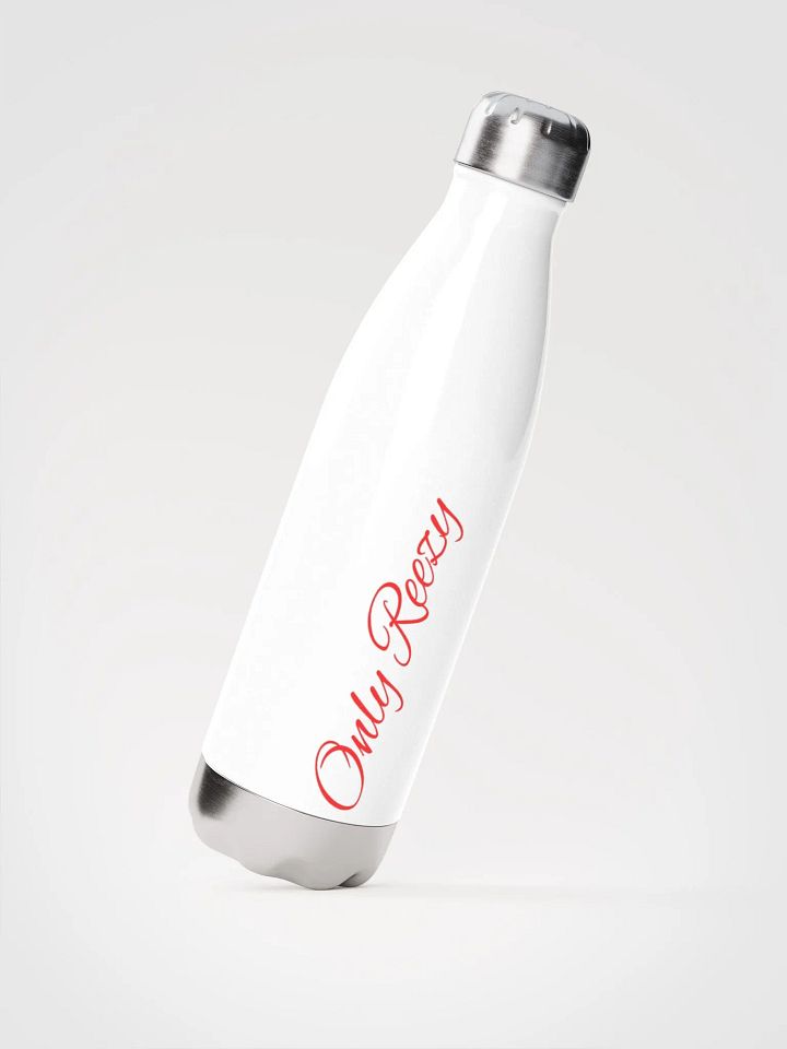 Reezy's Signature Stainless Steel Thirst Quencher product image (2)