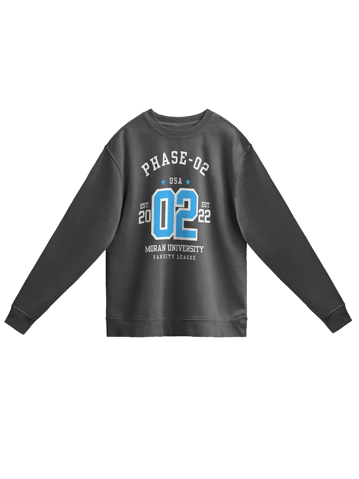 VINTAGE "PHASE-02" SWEATER product image (1)