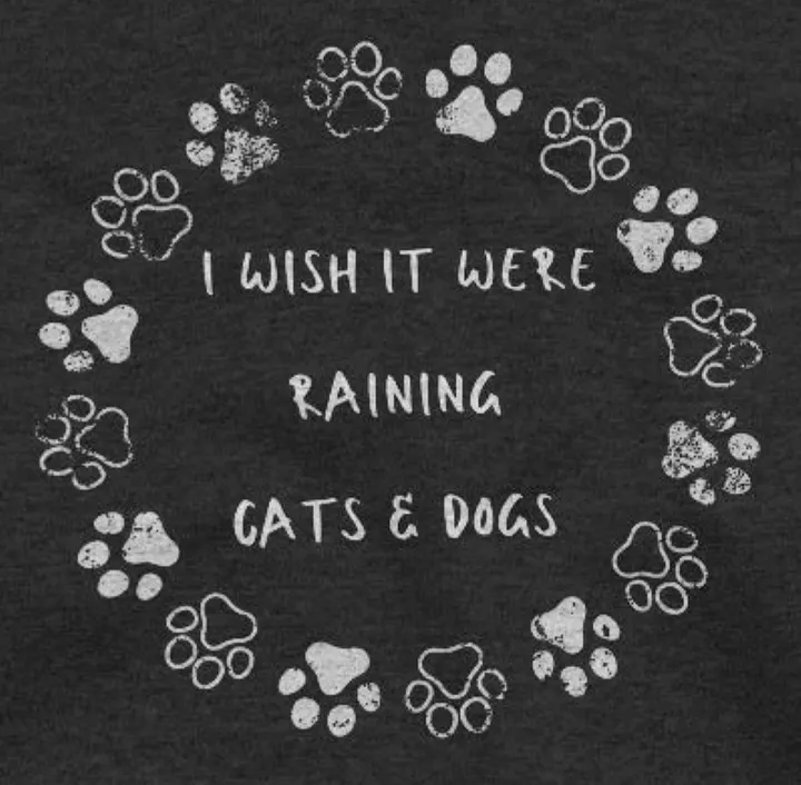 I wish it were raining cats and dogs, paw print, funny pun, cute joke, unisex hoodie product image (2)