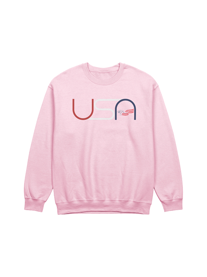 Winged USA Crewneck Sweatshirt product image (1)