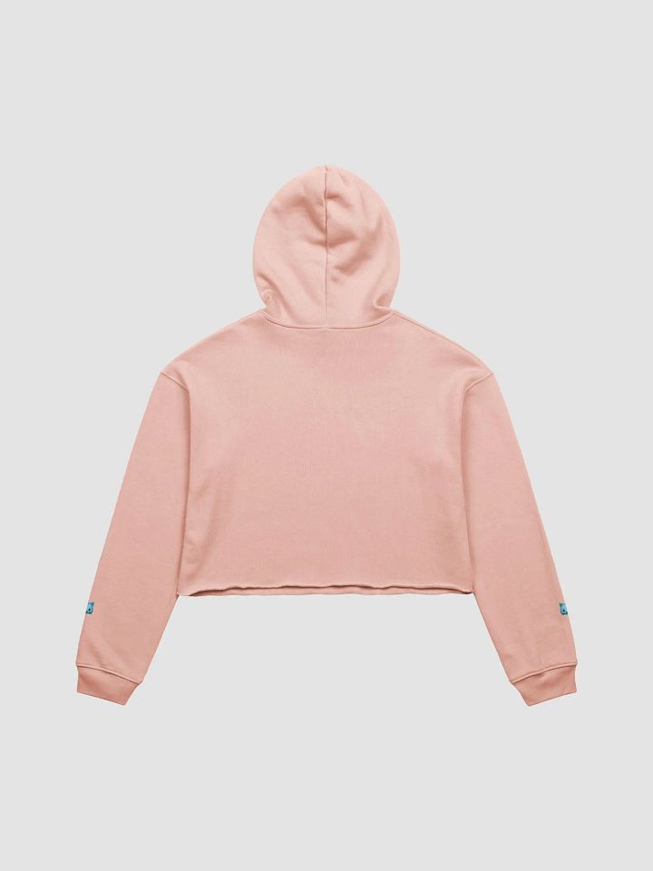 Akuma Miko Crop Hoodie product image (2)