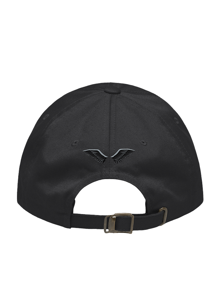 The @nathyn.trees INFAMOUS Cap in Black product image (2)