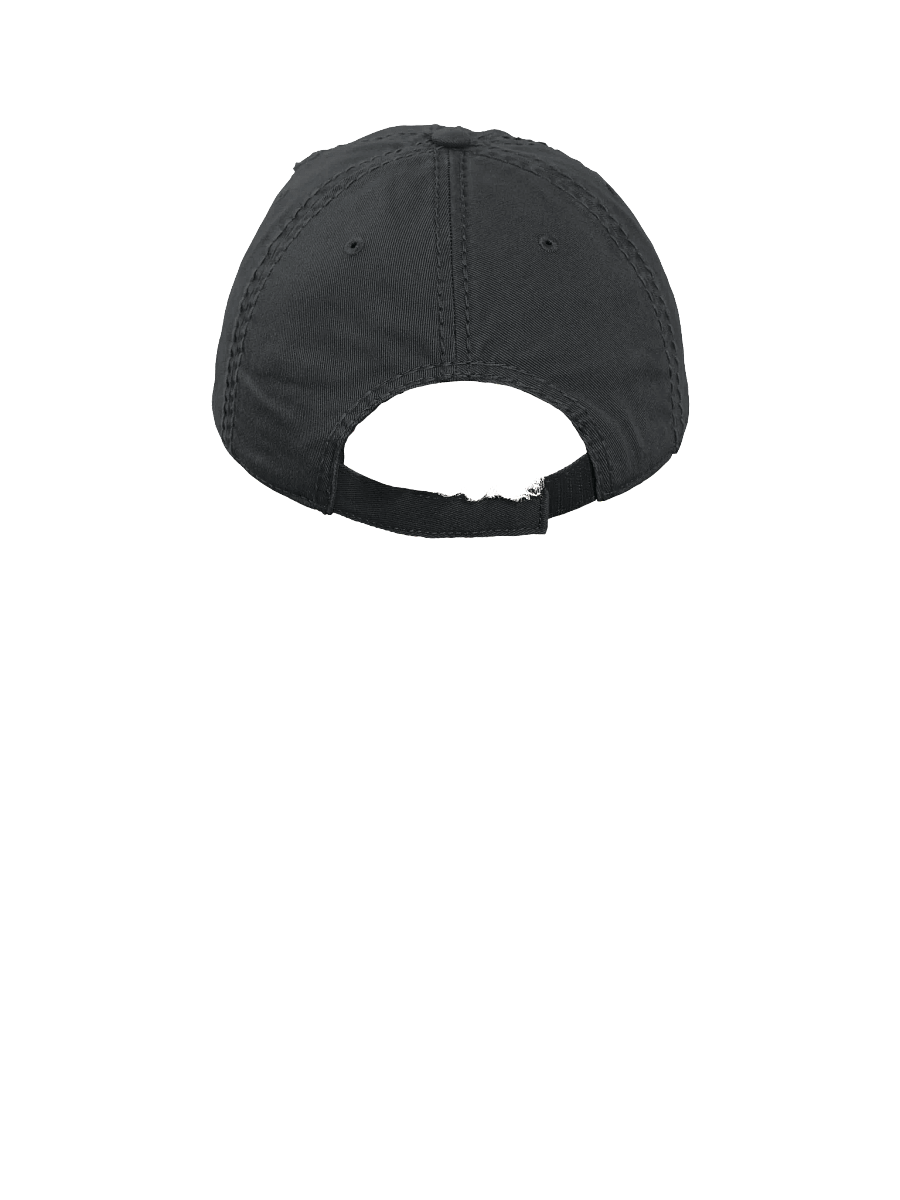 Dèudonï Red Label Distressed Dad Hat product image (22)
