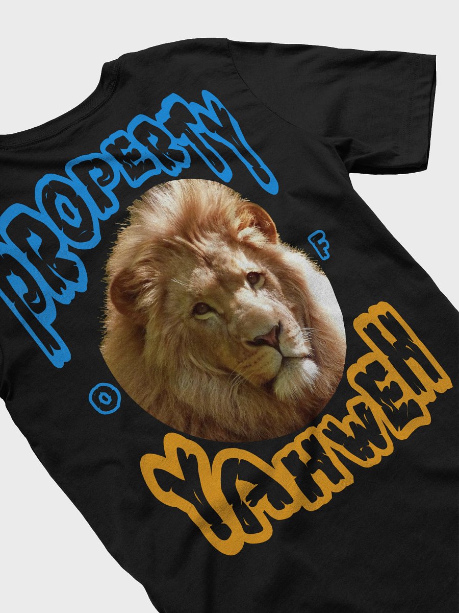 Child of God T-Shirt product image (43)