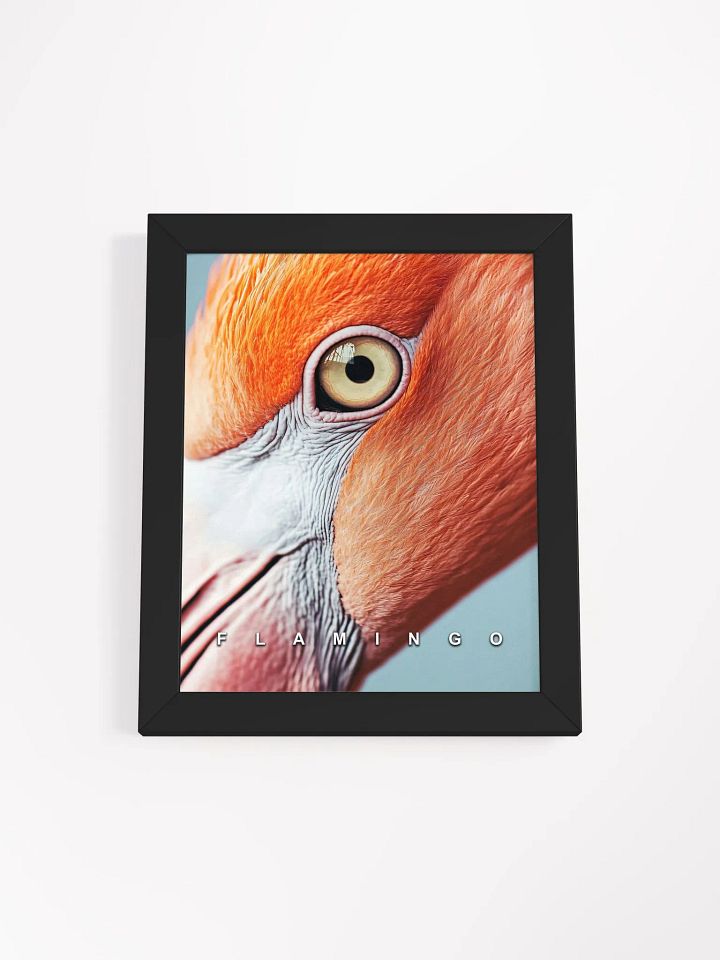 Flamingo's Eye Matte Poster product image (6)