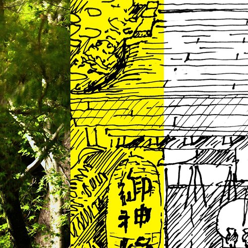 Kyoto Jinja (Shinto Temple) with wind in the trees #kyototrip #kyōto #kyototravel #神社 #神社写真 提灯 #御神燈