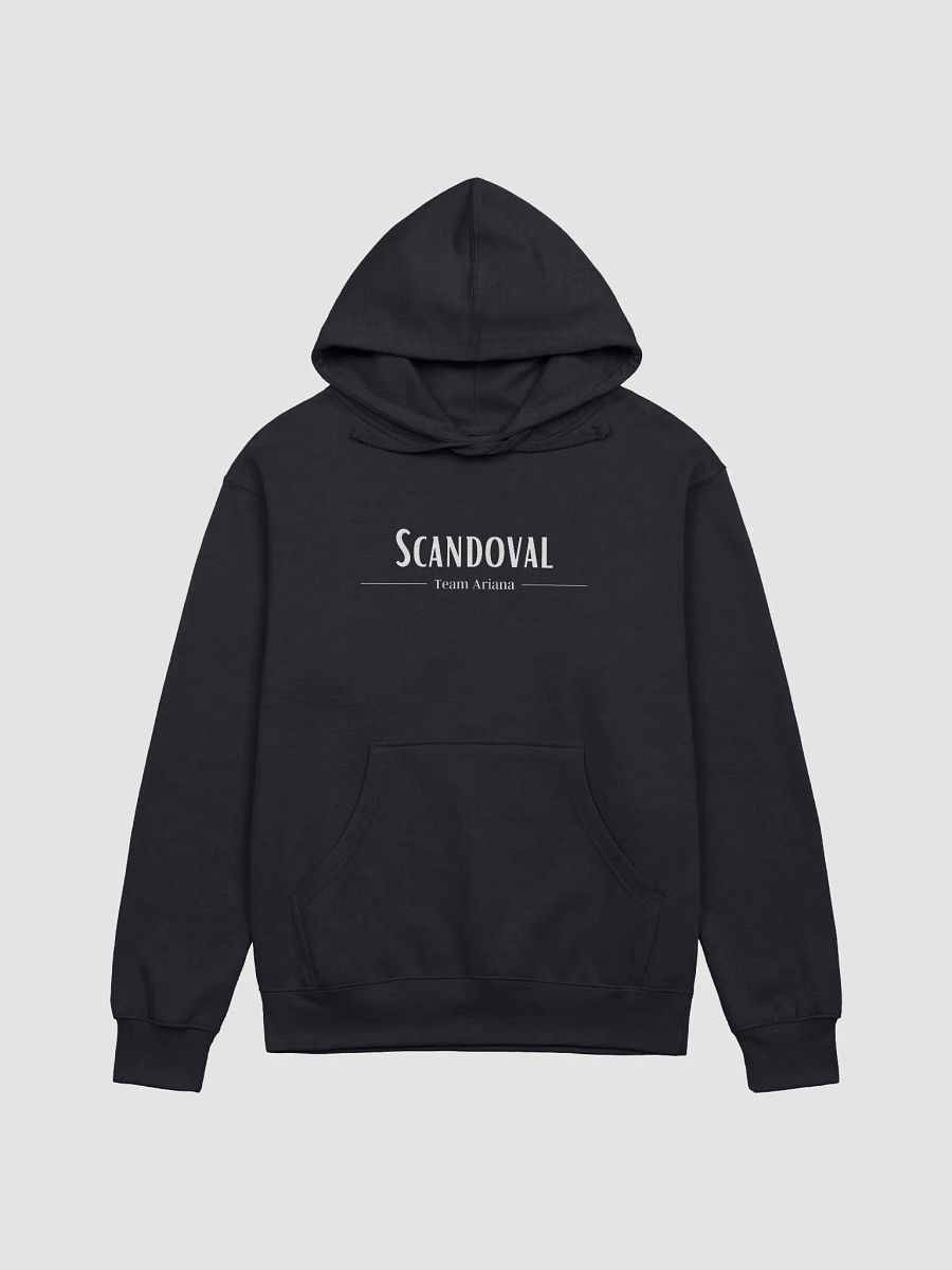 Team Ariana! Hoodie product image (1)