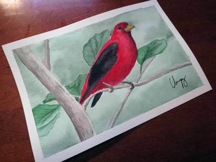 Scarlet Tanager - Original Watercolor Painting product image (1)