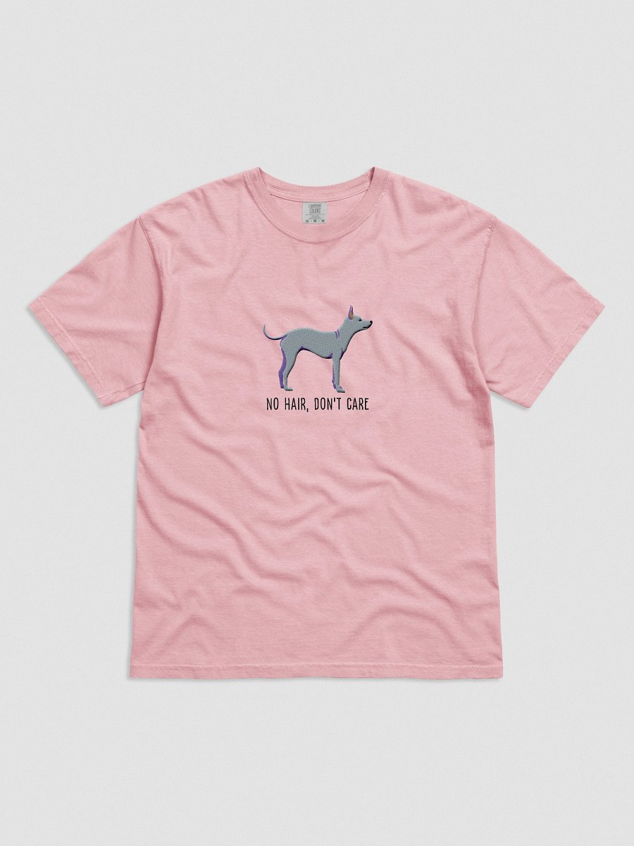 No Hair, Don't Care T-Shirt(Embroidered) of an American Hairless Terrier(Gray) product image (41)